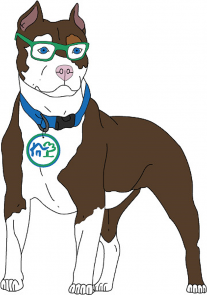 Dog With Collar With Color Glasses Final