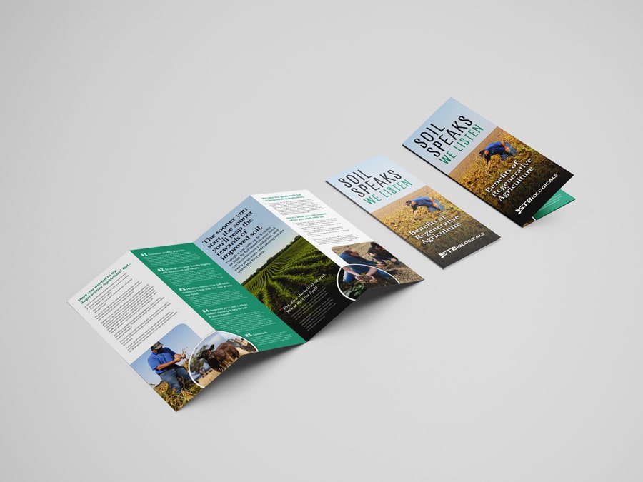 STBiologicals Accordion Brochure Design Stbiologicals Accordion Brochure Design